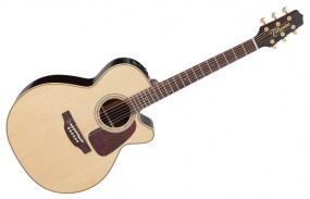 TAKAMINE - P5NC