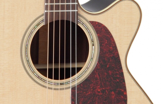 TAKAMINE - P5NC - photo n 2