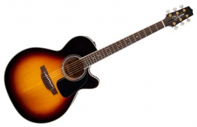 TAKAMINE  - P6NC