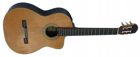 TAKAMINE  - NYLON TH5C HIRADE