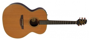 TAKAMINE  - EN20