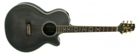 TAKAMINE - FP592